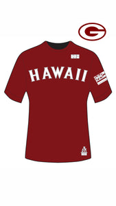 HAWAII DRIFIT JERSEY