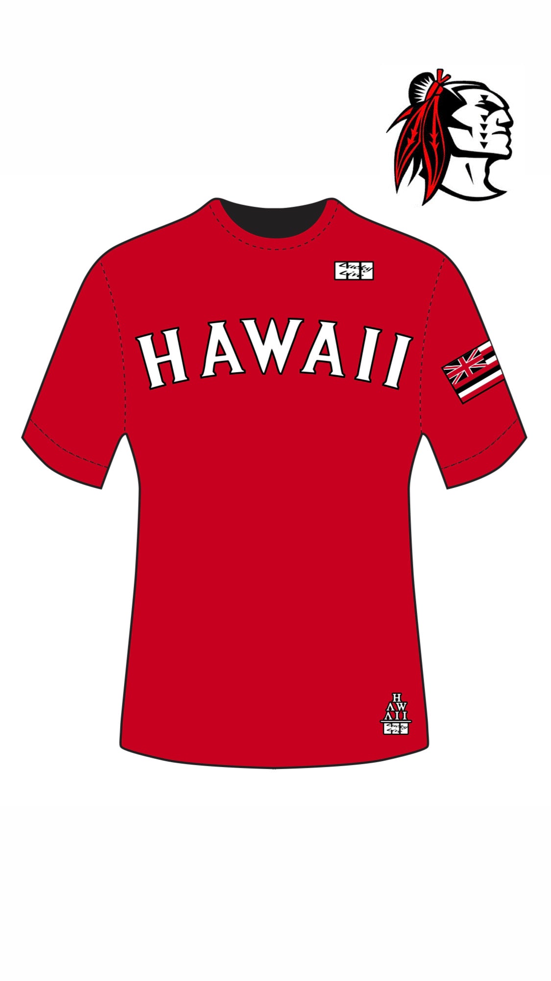 HAWAII DRIFIT JERSEY